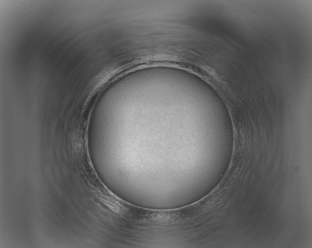 X0000052941266200507151634