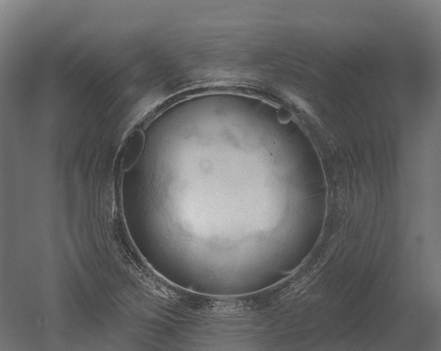 X0000052941267200507151634