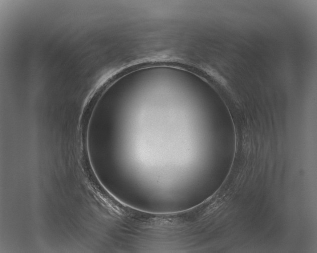 X0000052941270200507151633