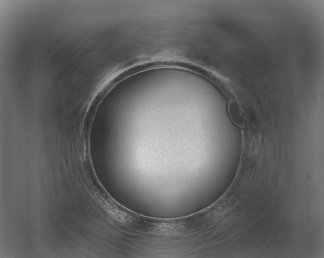 X0000052941271200507151633