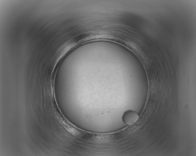 X0000052941274200507151633