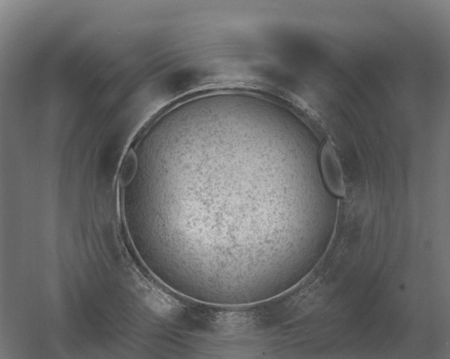 X0000052941275200507151633