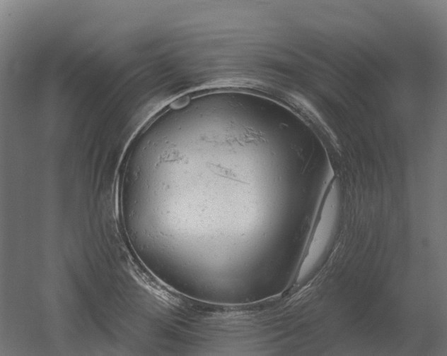 X0000052941276200507151633