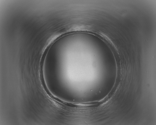 X0000052941277200507151633