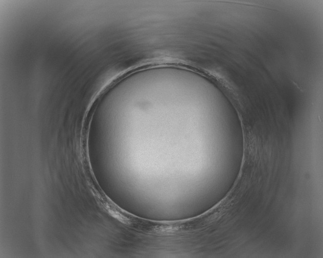 X0000052941278200507151633