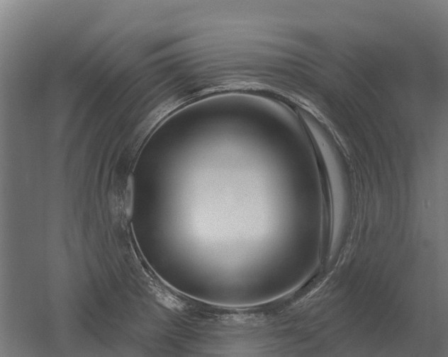 X0000052941281200507151633