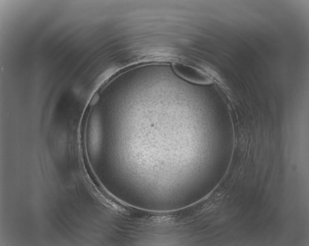 X0000052941283200507151633