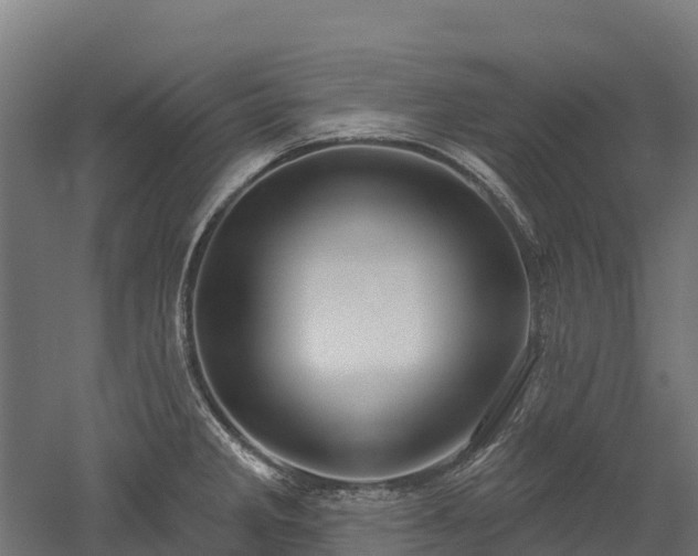 X0000052941285200507151633