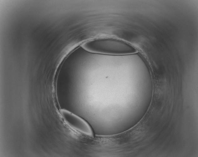 X0000052941287200507151633