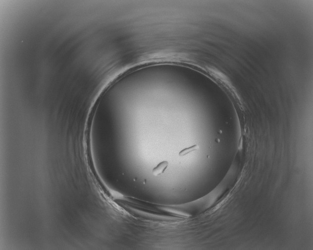 X0000052941288200507151633