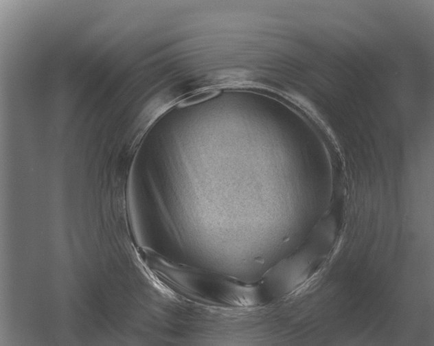 X0000052941289200507151633