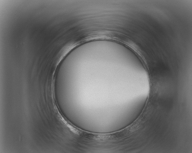 X0000052941290200507151633