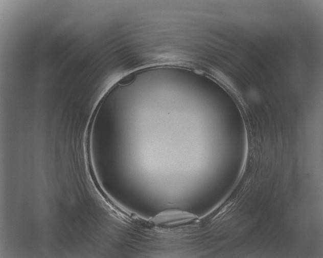 X0000052941291200507151633