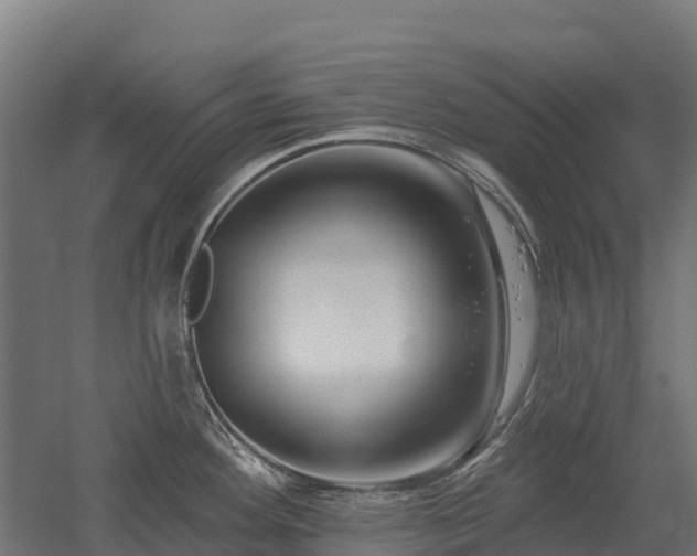 X0000052941292200507151633