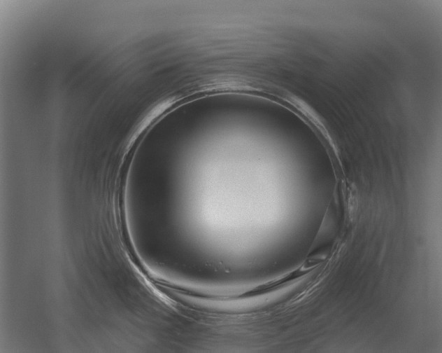 X0000052941293200507151633