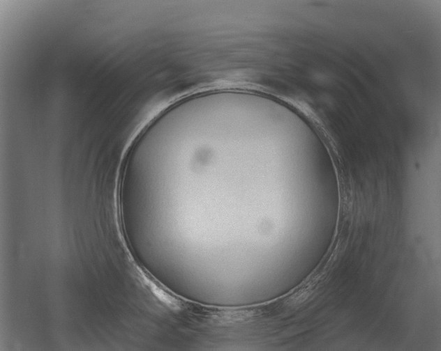 X0000052941294200507151633