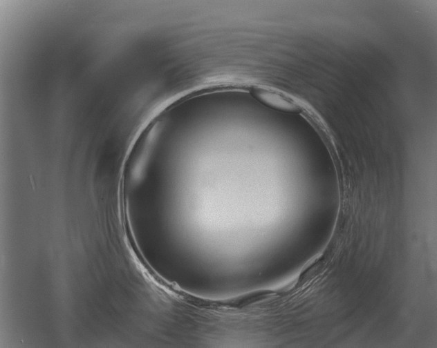 X0000052941295200507151633