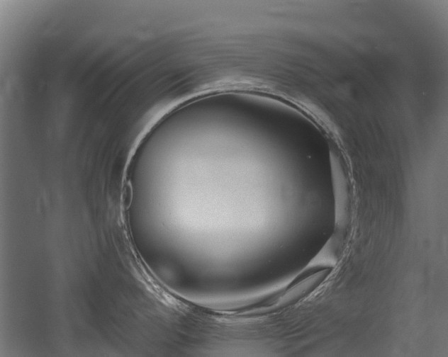 X0000052941296200507151633