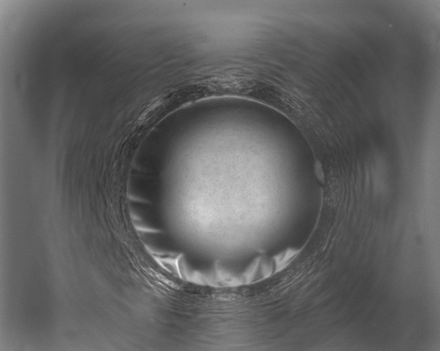 X0000052941297200507151632