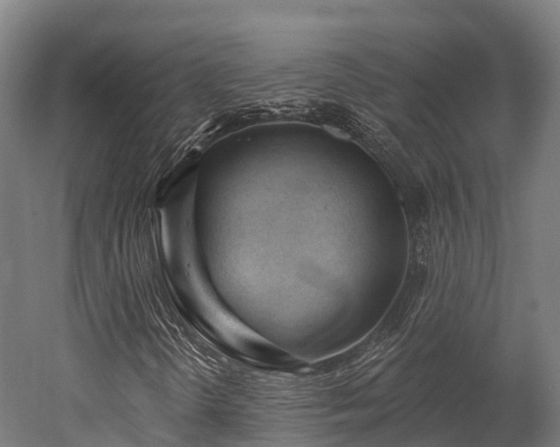 X0000052941298200507151632