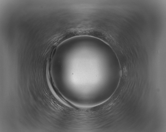 X0000052941300200507151632