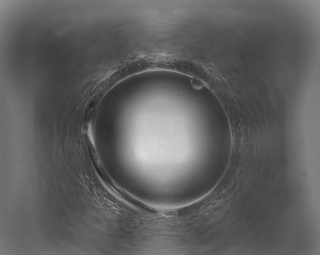 X0000052941301200507151632