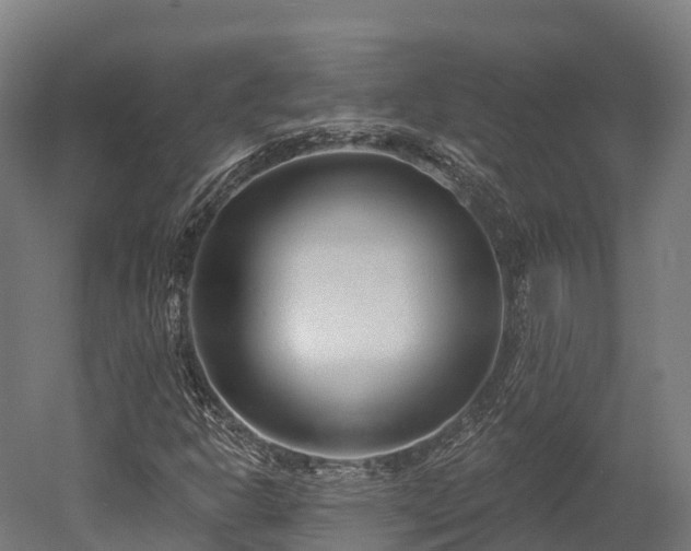 X0000052941302200507151632