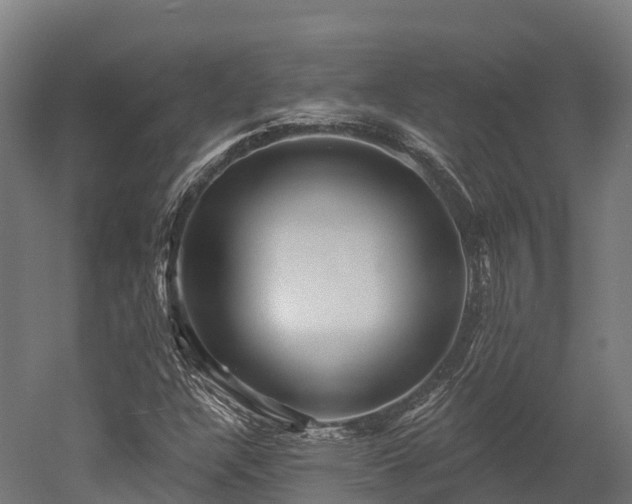 X0000052941304200507151632