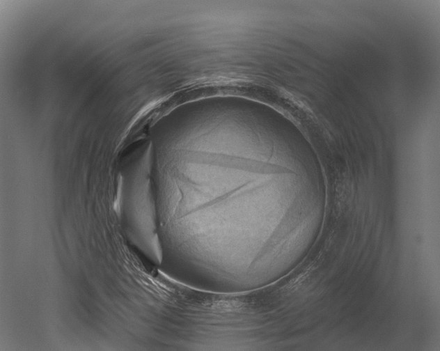 X0000052941306200507151632