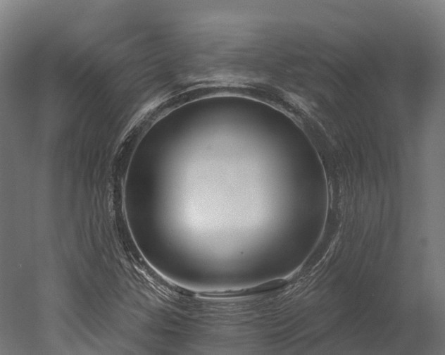 X0000052941307200507151632