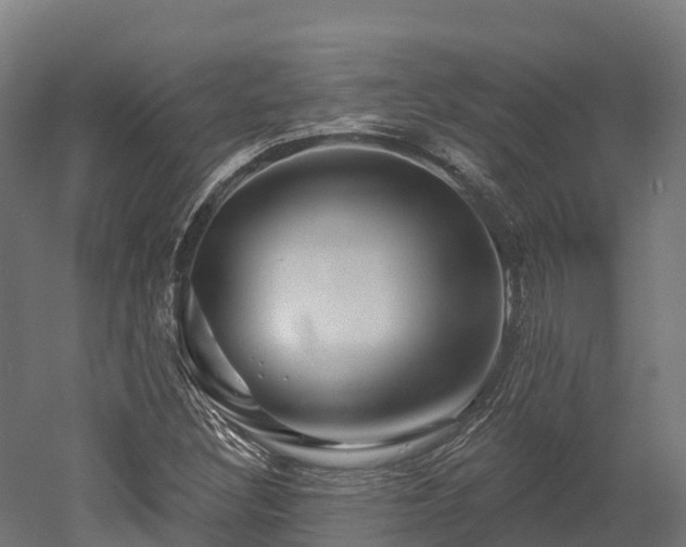 X0000052941308200507151632