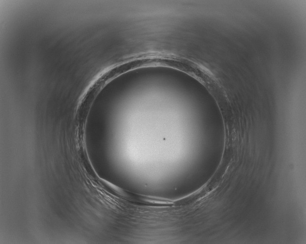 X0000052941310200507151632