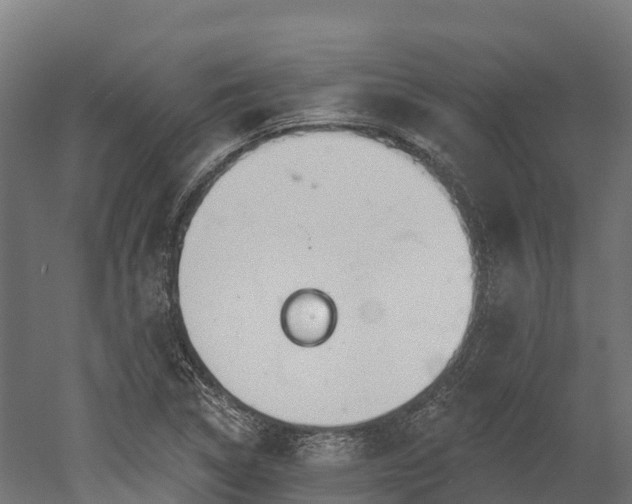 X0000052941314200507151632