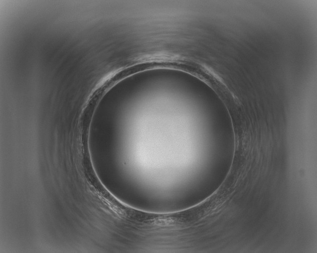 X0000052941315200507151633