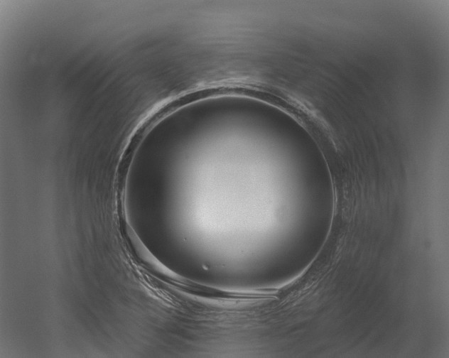 X0000052941316200507151633