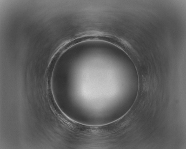 X0000052941318200507151633