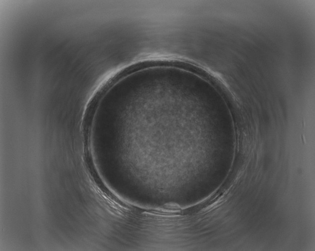 X0000052941319200507151633