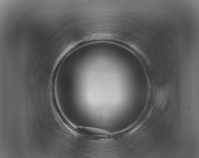 X0000052941325200507151633