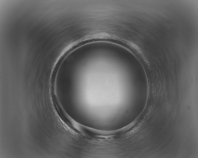 X0000052941326200507151633