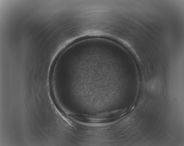 X0000052941327200507151633