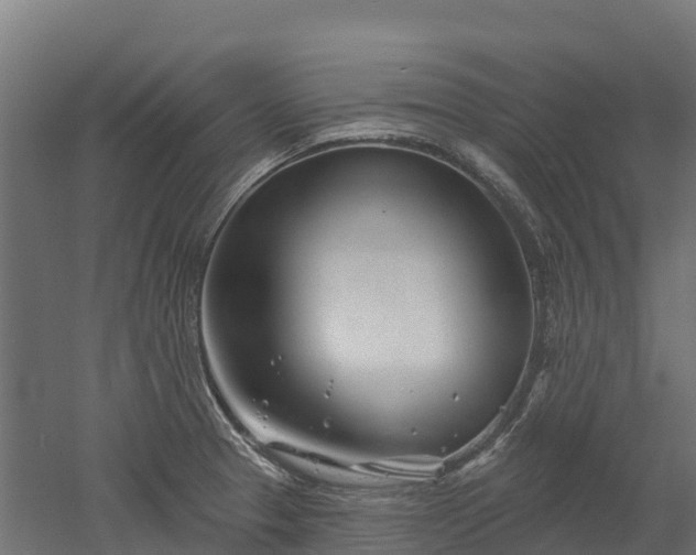 X0000052941329200507151633