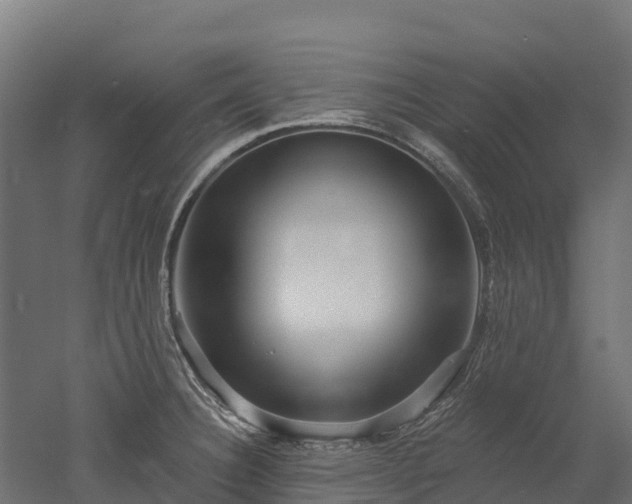 X0000052941332200507151633