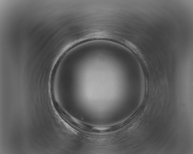 X0000052941334200507151633