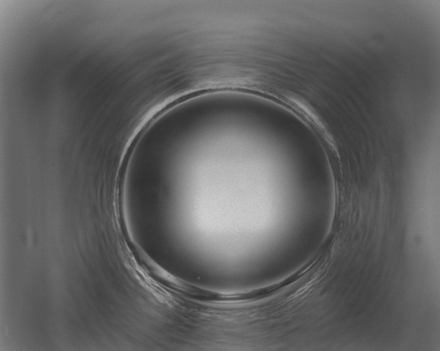 X0000052941340200507151633