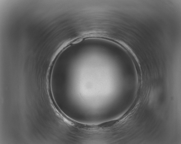 X0000052941341200507151633