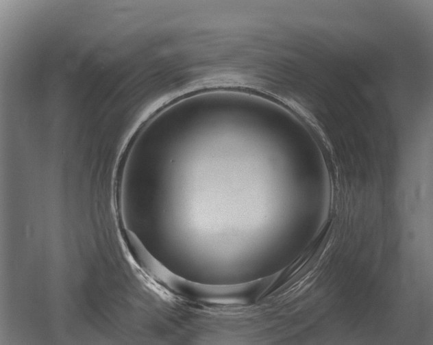 X0000052941342200507151633