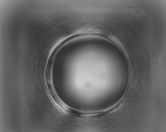 X0000052941344200507151633