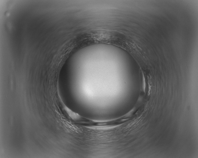 X0000052941345200507151632