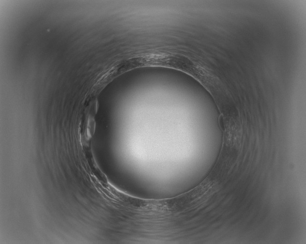 X0000052941346200507151632