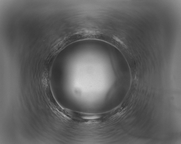 X0000052941348200507151632